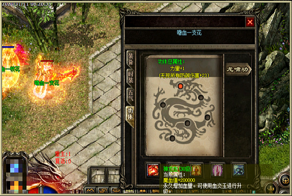 611区10组·嗜血一枝花个人专访