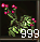 探索神秘力量,神功护体等级开放至120阶!